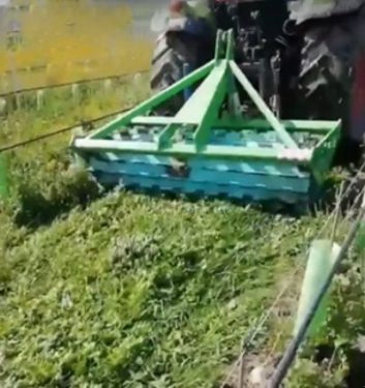 Sonstige Obsttechnik & Weinbautechnik del tipo Conpexim Mulchwalze für den BIOLANDWIRT, Neumaschine In Apetlon (Immagine 1)