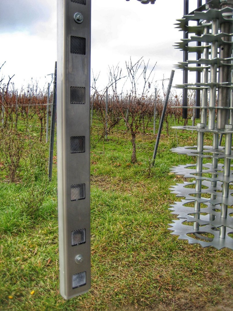 Sonstige Obsttechnik & Weinbautechnik от тип Freilauber Vorschneider VS601, Neumaschine в Gerasdorf (Снимка 4)