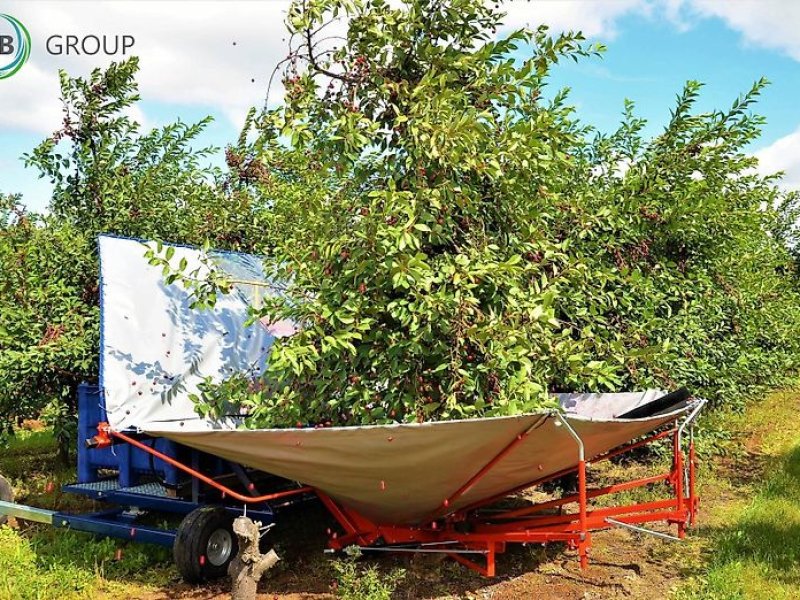 Sonstige Obsttechnik & Weinbautechnik des Typs Jagoda urządzenie zbierające wiśnie, śliwki Gacek, Gebrauchtmaschine in Rzędziany (Bild 1)