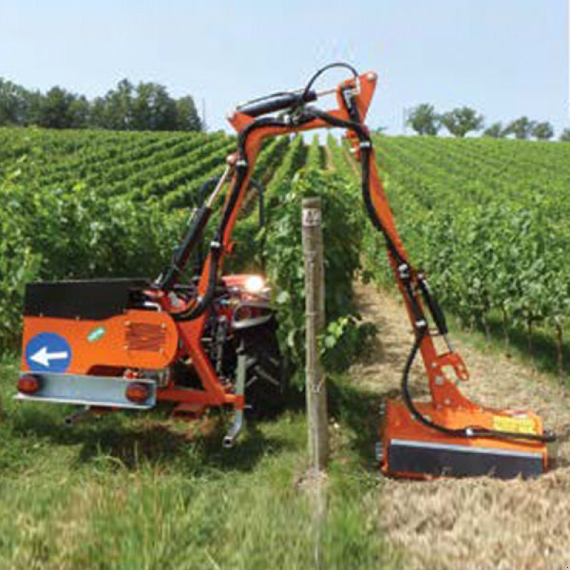 Sonstige Obsttechnik & Weinbautechnik del tipo Rinieri BR-VIGNA PLUS Böschungsmulcher, Neumaschine In Gerasdorf (Immagine 1)