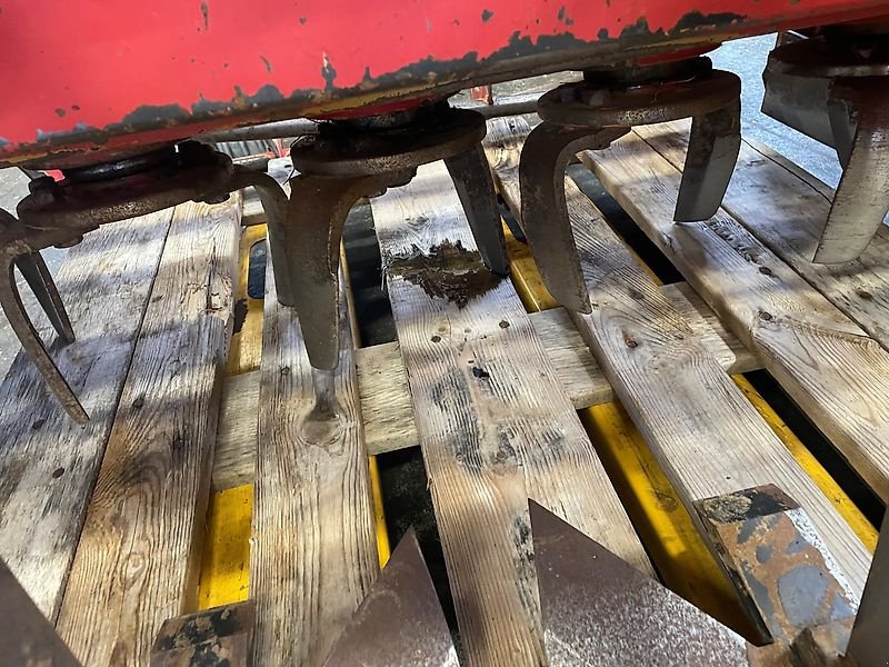 Sonstige Obsttechnik & Weinbautechnik типа Sauerburger SKE / ELAN 1300 Kreiselegge 130cm Arbeitsbreite mit Vorgrubber Leckron und Walze, Gebrauchtmaschine в Niedernhausen OT Engenhahn (Фотография 17)