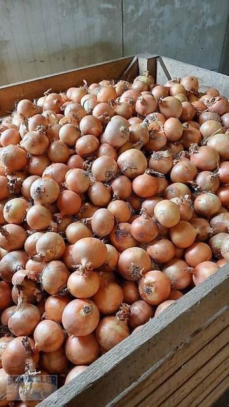 Sonstige Obsttechnik & Weinbautechnik des Typs Schneller Povetec ZES 2 Zwiebelentschloter, Neumaschine in Hainsfarth (Bild 10)