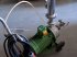 Sonstige Obsttechnik & Weinbautechnik del tipo Sonstige Flotationspumpe ESK 10.000 (4682), Gebrauchtmaschine en Strem (Imagen 1)