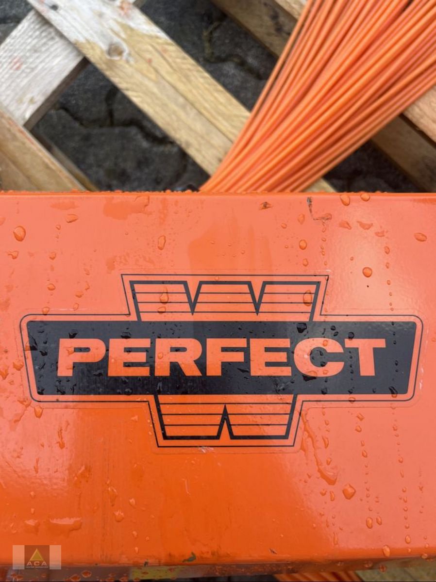 Sonstige Obsttechnik & Weinbautechnik типа Sonstige Perfect Reihenkehrer, Neumaschine в Markt Hartmannsdorf (Фотография 2)