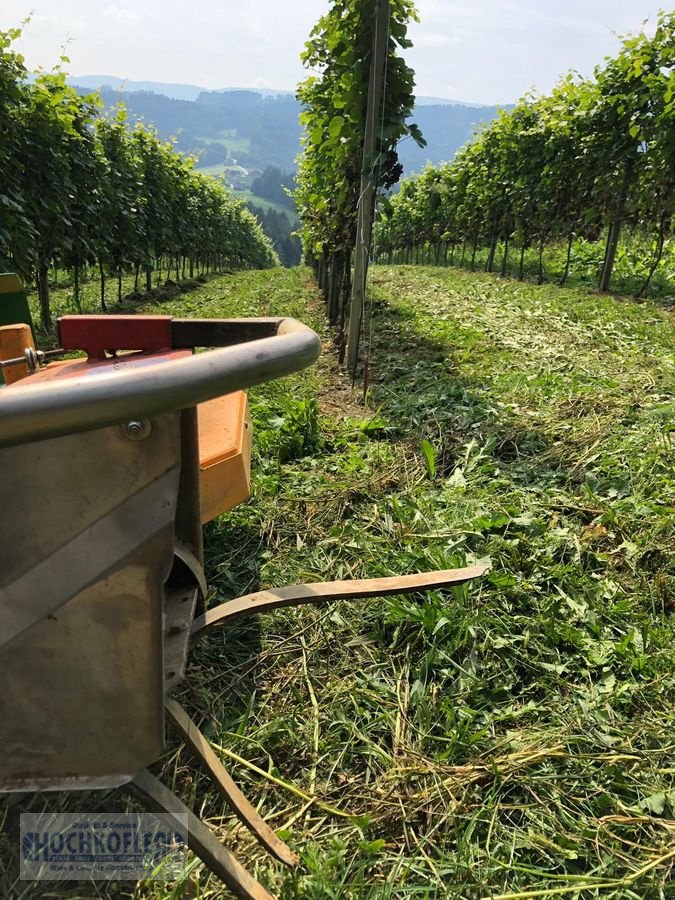 Sonstige Obsttechnik & Weinbautechnik typu Sonstige Psenner SV 173/240 + Held Stockräumer, Vorführmaschine w Wies (Zdjęcie 7)