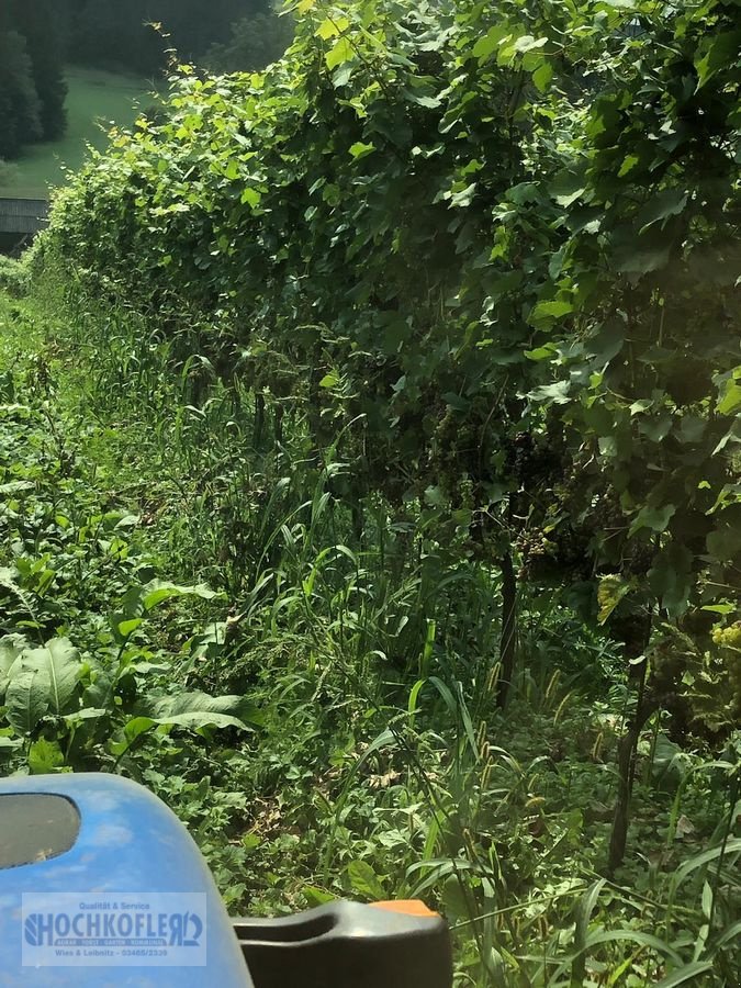 Sonstige Obsttechnik & Weinbautechnik typu Sonstige Psenner SV 173/240 + Held Stockräumer, Vorführmaschine w Wies (Zdjęcie 8)