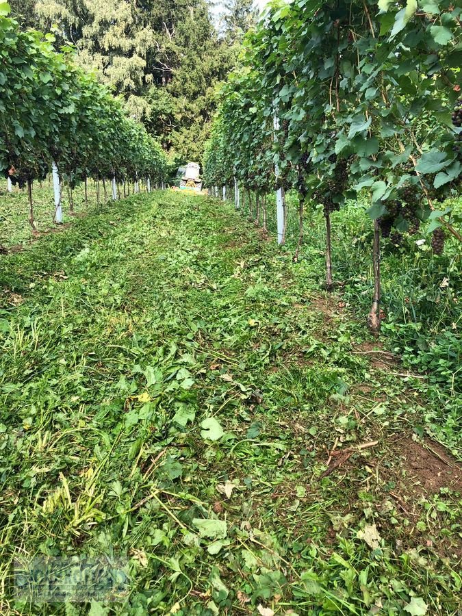 Sonstige Obsttechnik & Weinbautechnik typu Sonstige Psenner SV 173/240 + Held Stockräumer, Vorführmaschine w Wies (Zdjęcie 4)