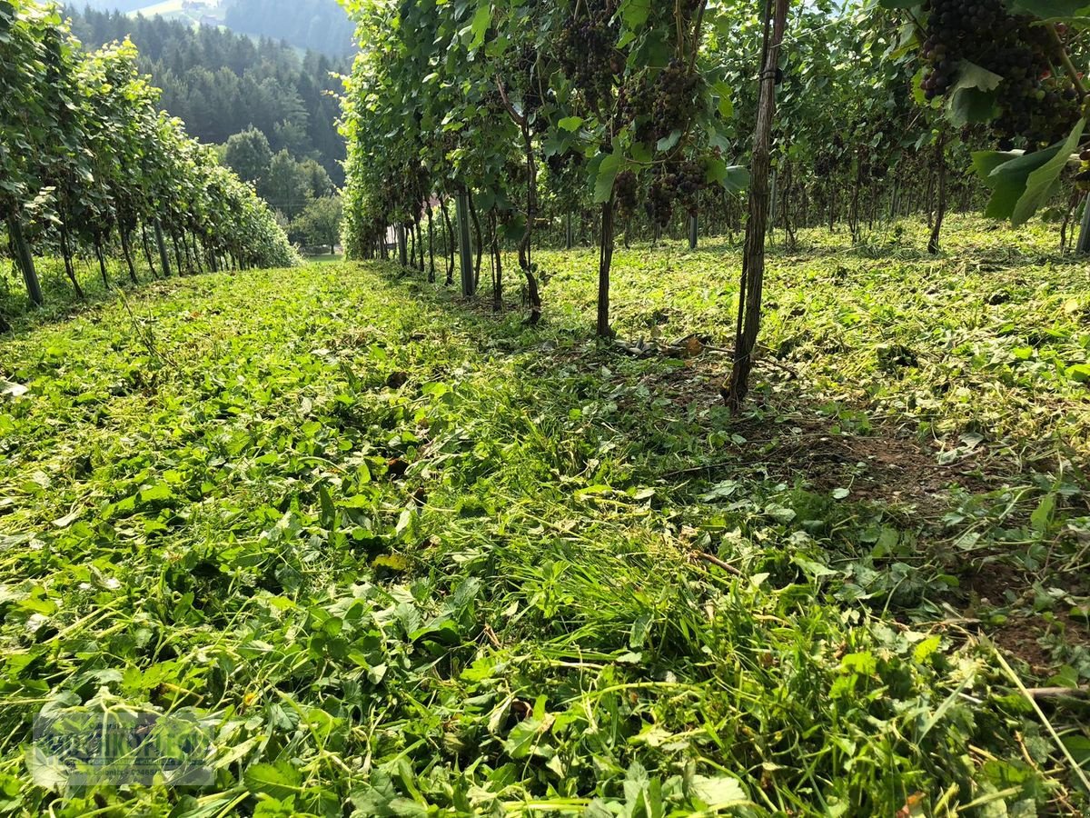 Sonstige Obsttechnik & Weinbautechnik typu Sonstige Psenner SV 173/240 + Held Stockräumer, Vorführmaschine w Wies (Zdjęcie 12)