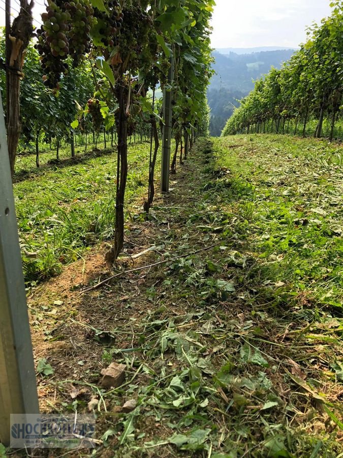 Sonstige Obsttechnik & Weinbautechnik typu Sonstige Psenner SV 173/240 + Held Stockräumer, Vorführmaschine w Wies (Zdjęcie 16)