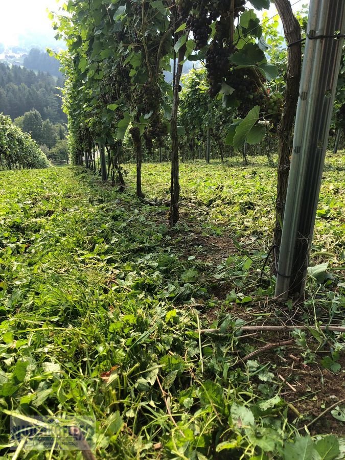 Sonstige Obsttechnik & Weinbautechnik typu Sonstige Psenner SV 173/240 + Held Stockräumer, Vorführmaschine w Wies (Zdjęcie 2)