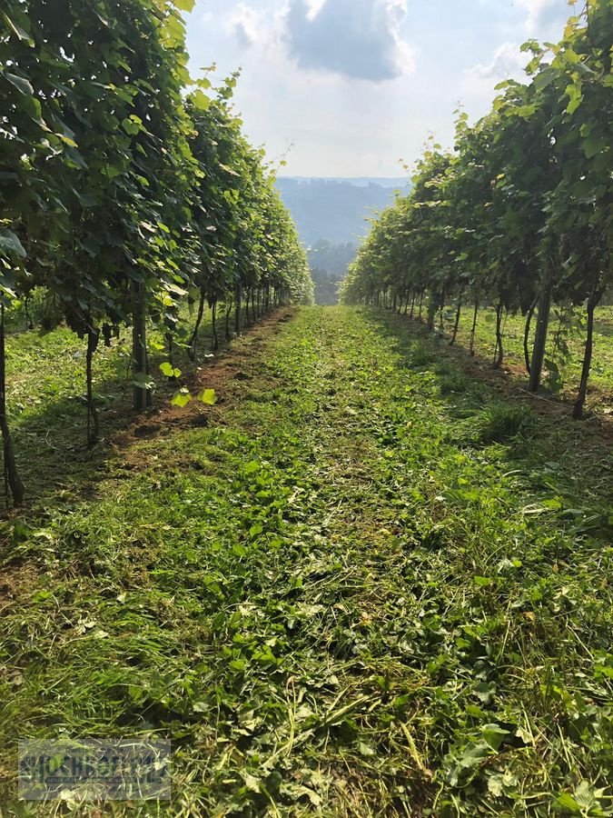 Sonstige Obsttechnik & Weinbautechnik typu Sonstige Psenner SV 173/240 + Held Stockräumer, Vorführmaschine w Wies (Zdjęcie 15)