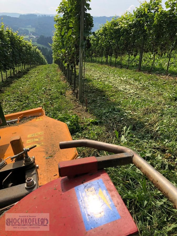 Sonstige Obsttechnik & Weinbautechnik typu Sonstige Psenner SV 173/240 + Held Stockräumer, Vorführmaschine w Wies (Zdjęcie 14)