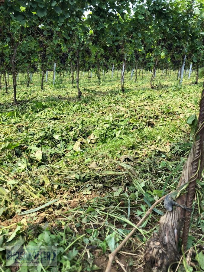 Sonstige Obsttechnik & Weinbautechnik typu Sonstige Psenner SV 173/240 + Held Stockräumer, Vorführmaschine w Wies (Zdjęcie 3)