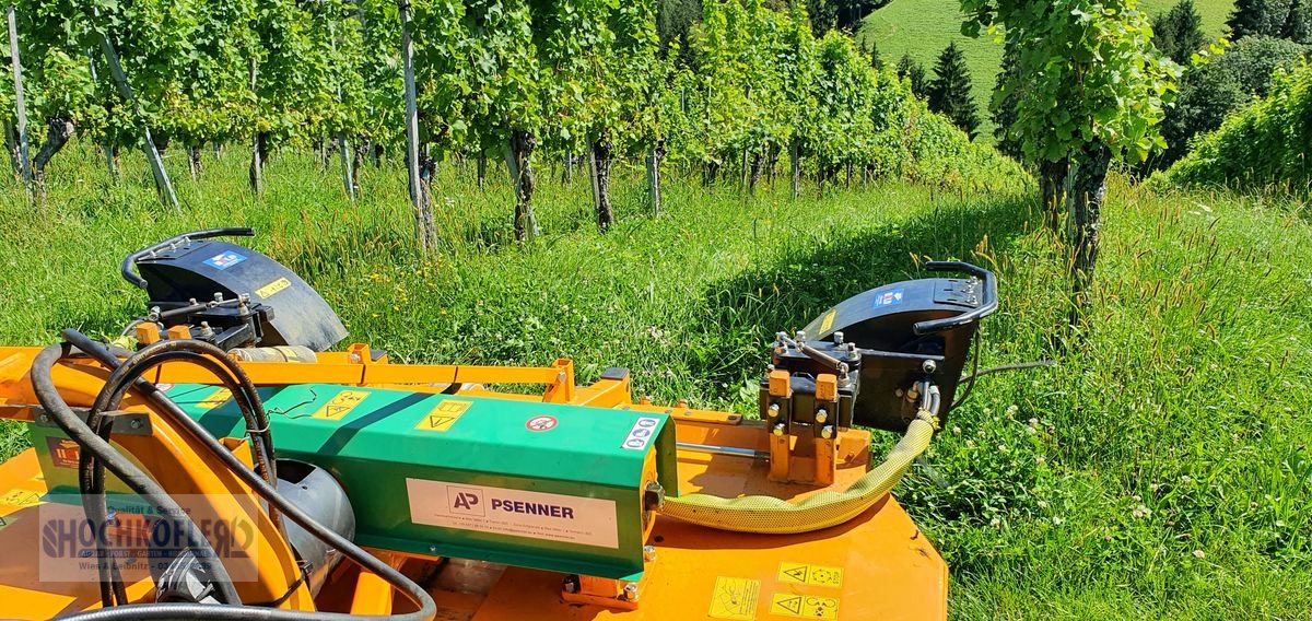 Sonstige Obsttechnik & Weinbautechnik typu Sonstige Psenner SV 173/240 + Held Stockräumer, Vorführmaschine w Wies (Zdjęcie 1)