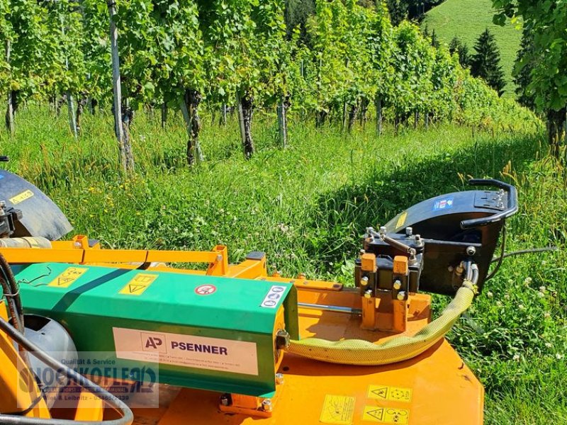 Sonstige Obsttechnik & Weinbautechnik typu Sonstige Psenner SV 173/240 + Held Stockräumer, Vorführmaschine v Wies (Obrázok 1)