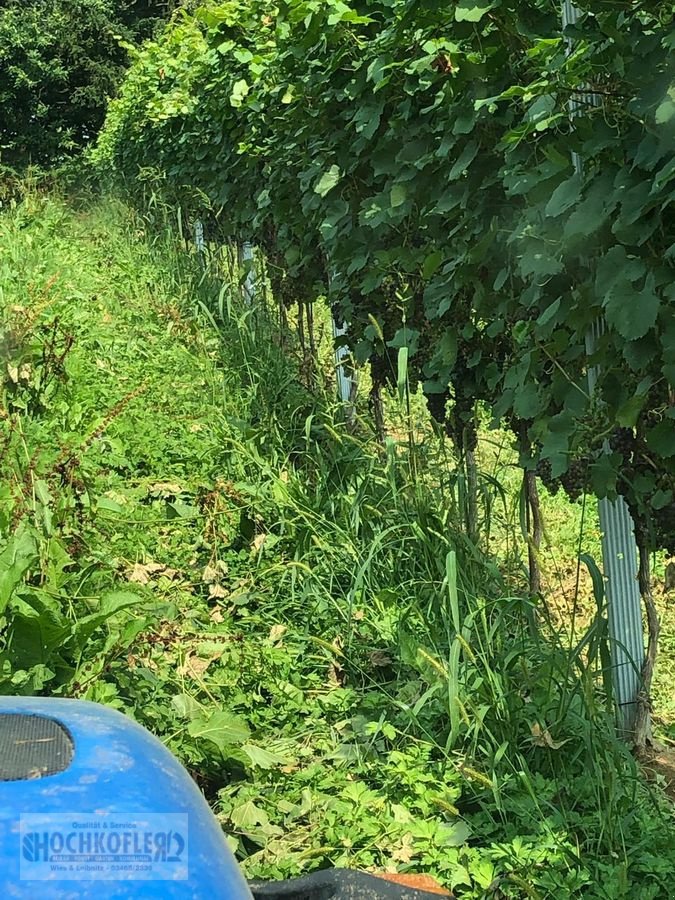 Sonstige Obsttechnik & Weinbautechnik typu Sonstige Psenner SV 173/240 + Held Stockräumer, Vorführmaschine w Wies (Zdjęcie 5)