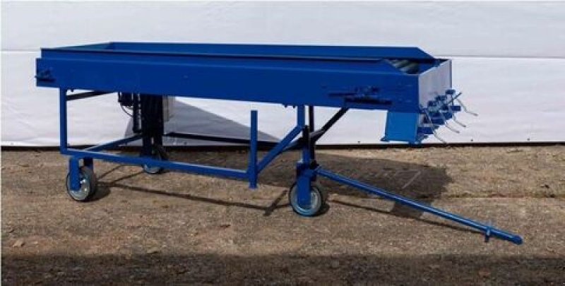 Sonstige Obsttechnik & Weinbautechnik tipa Sonstige Rollenverlesetisch / sorting table, Neumaschine u Michałowo (Slika 7)
