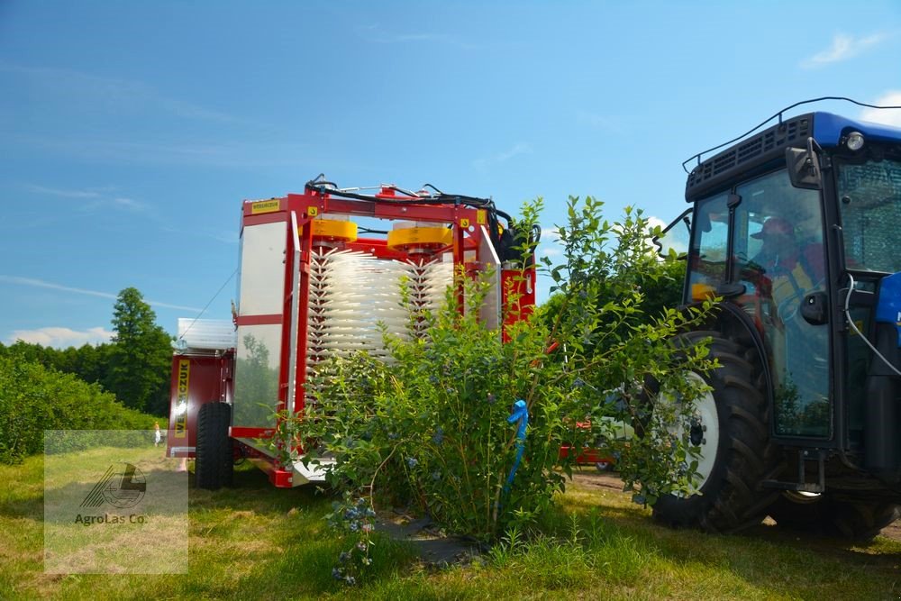 Sonstige Obsttechnik & Weinbautechnik типа Weremczuk Die Erntemaschine für Heidelbeeren, Himbeeren und Brombeeren KAREN, Neumaschine в Skierniewice (Фотография 1)