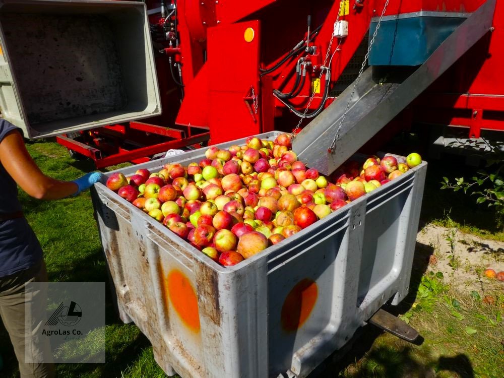 Sonstige Obsttechnik & Weinbautechnik des Typs Weremczuk Vollernter für Äpfel, Kirschen, Pflaumen FELIX-Z, Neumaschine in Skierniewice (Bild 5)