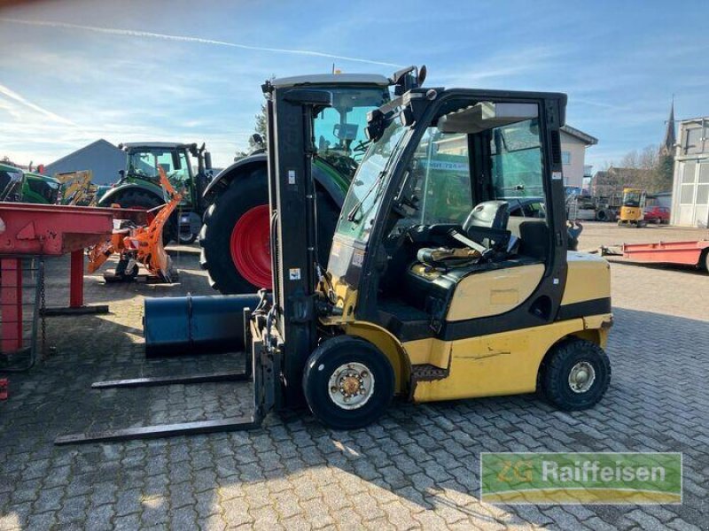 Sonstige Obsttechnik & Weinbautechnik типа Yale GDP25VX E2170, Gebrauchtmaschine в Bühl (Фотография 4)