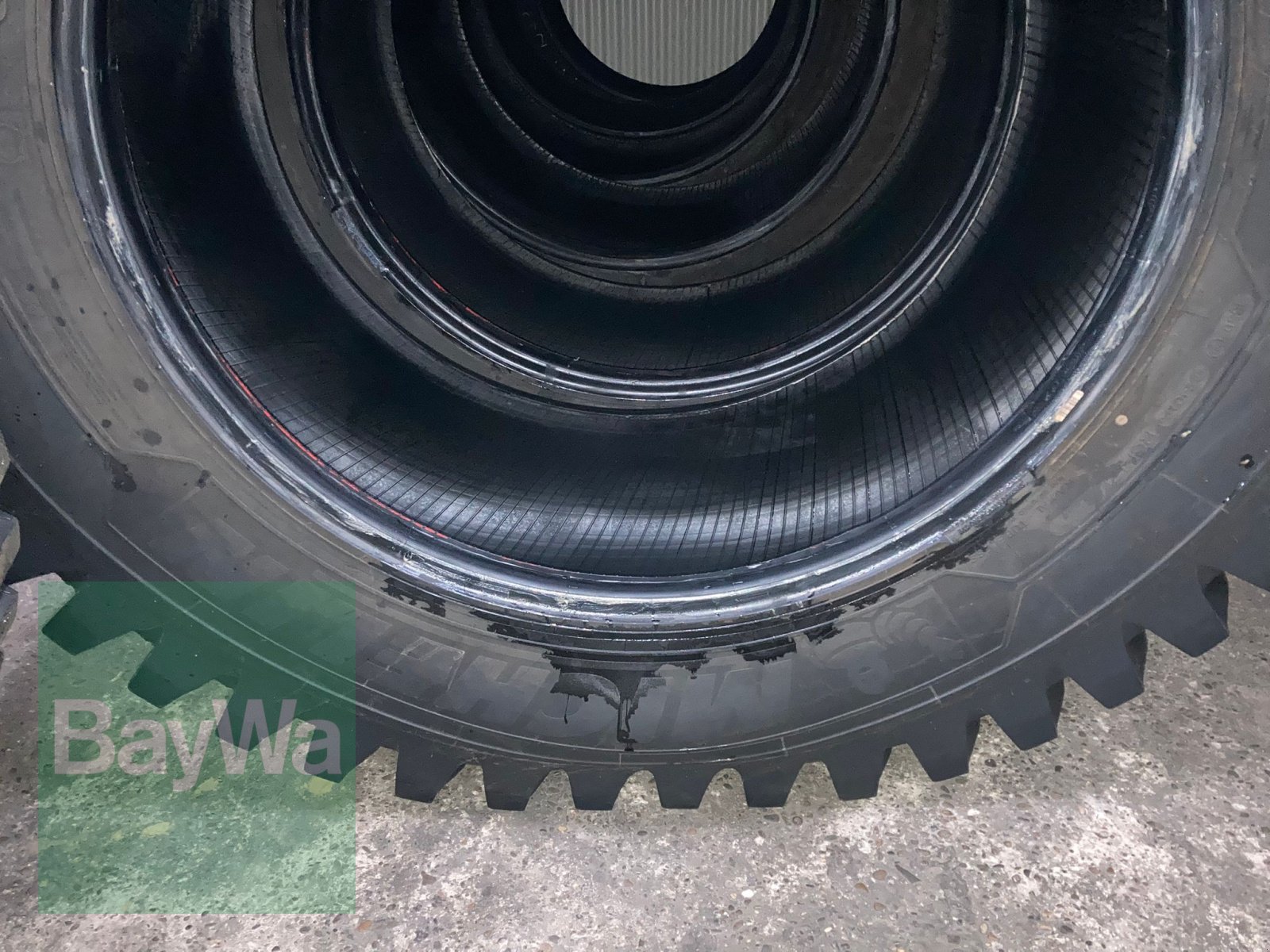 Sonstige Räder & Reifen & Felgen of the type Michelin 650/65R42 + 540/65R30 ROADBIB, Gebrauchtmaschine in Dinkelsbühl (Picture 12)