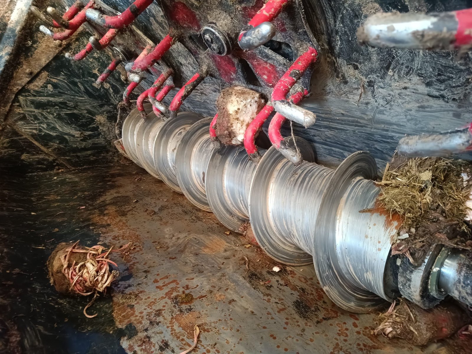 Sonstige Rübentechnik of the type Mailleux BD 2002, Gebrauchtmaschine in Aron (Picture 8)