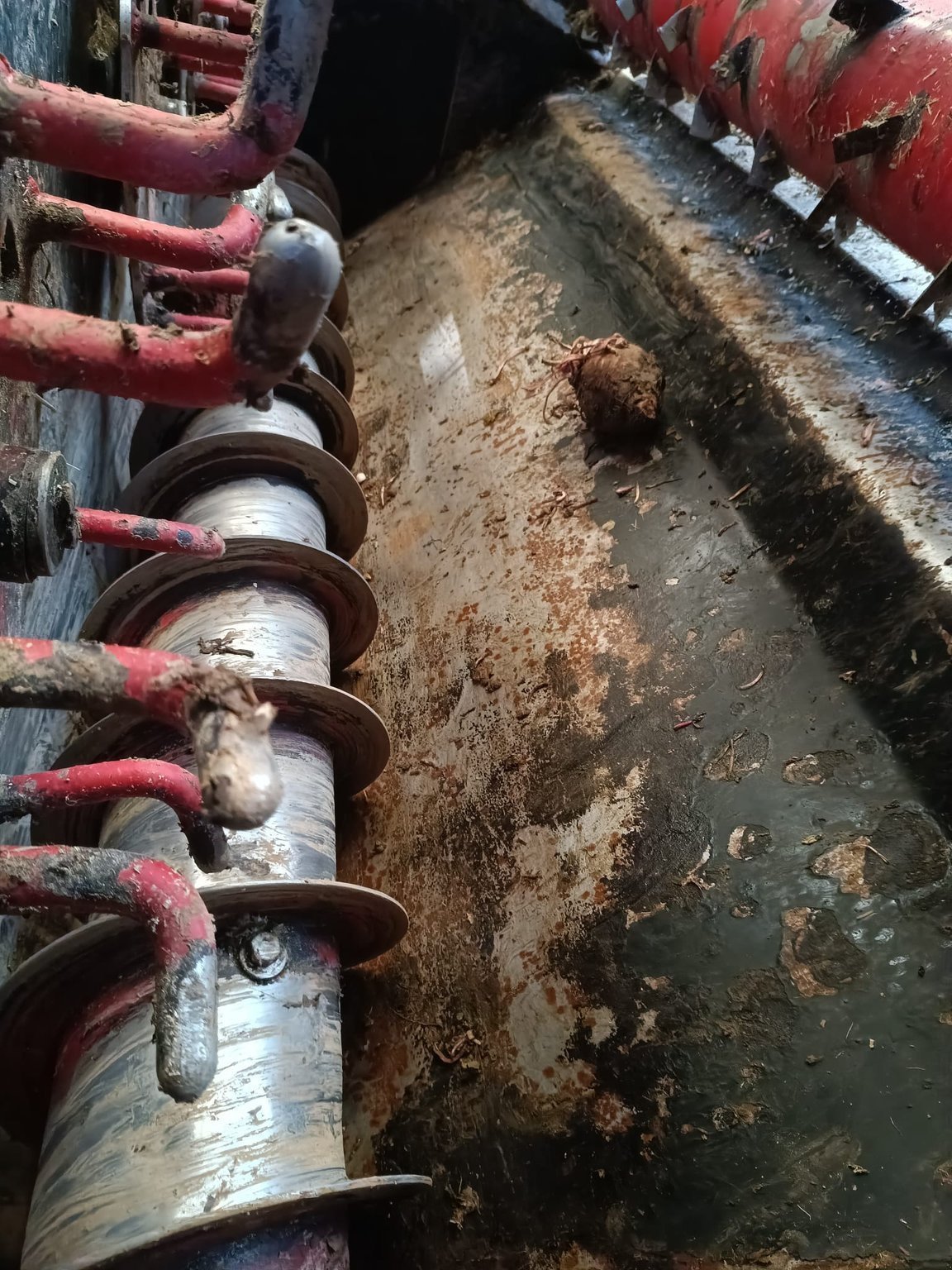 Sonstige Rübentechnik of the type Mailleux BD 2002, Gebrauchtmaschine in Aron (Picture 3)