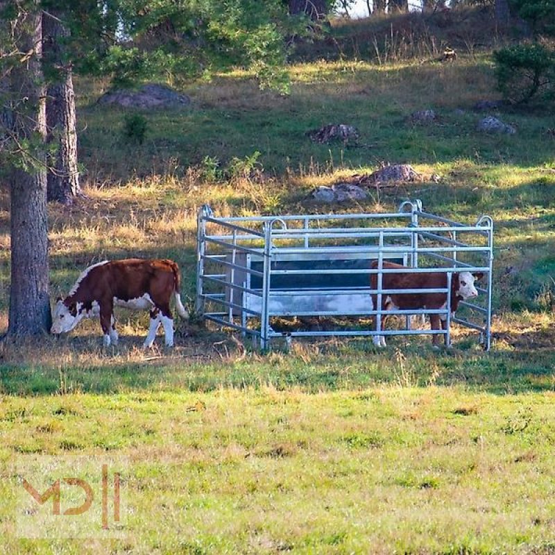 Sonstige Stalltechnik del tipo MD Landmaschinen Kellfri Kälberbox 3m, Neumaschine In Zeven (Immagine 3)