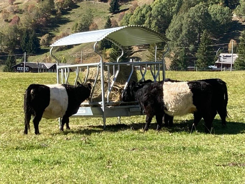 Sonstige Stalltechnik vrste Robert Schräggitter 12 Plätze, Neumaschine v Susten (Slika 3)
