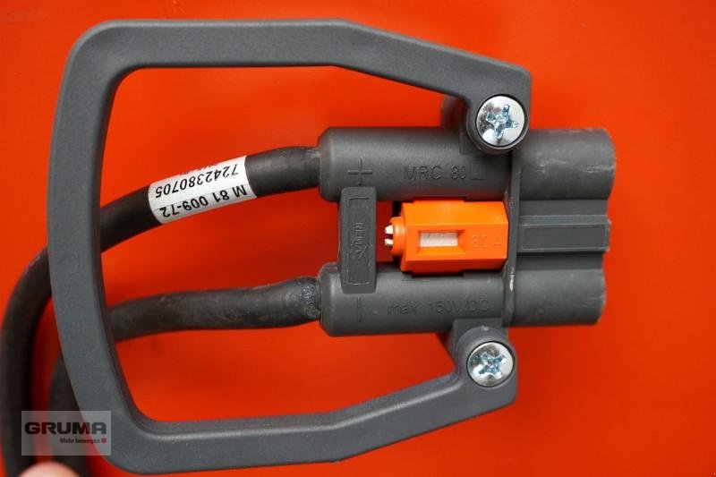 Sonstige Teile typu Gruma 24 Volt 2 PzS 250 Ah, Gebrauchtmaschine v Friedberg-Derching (Obrázek 4)