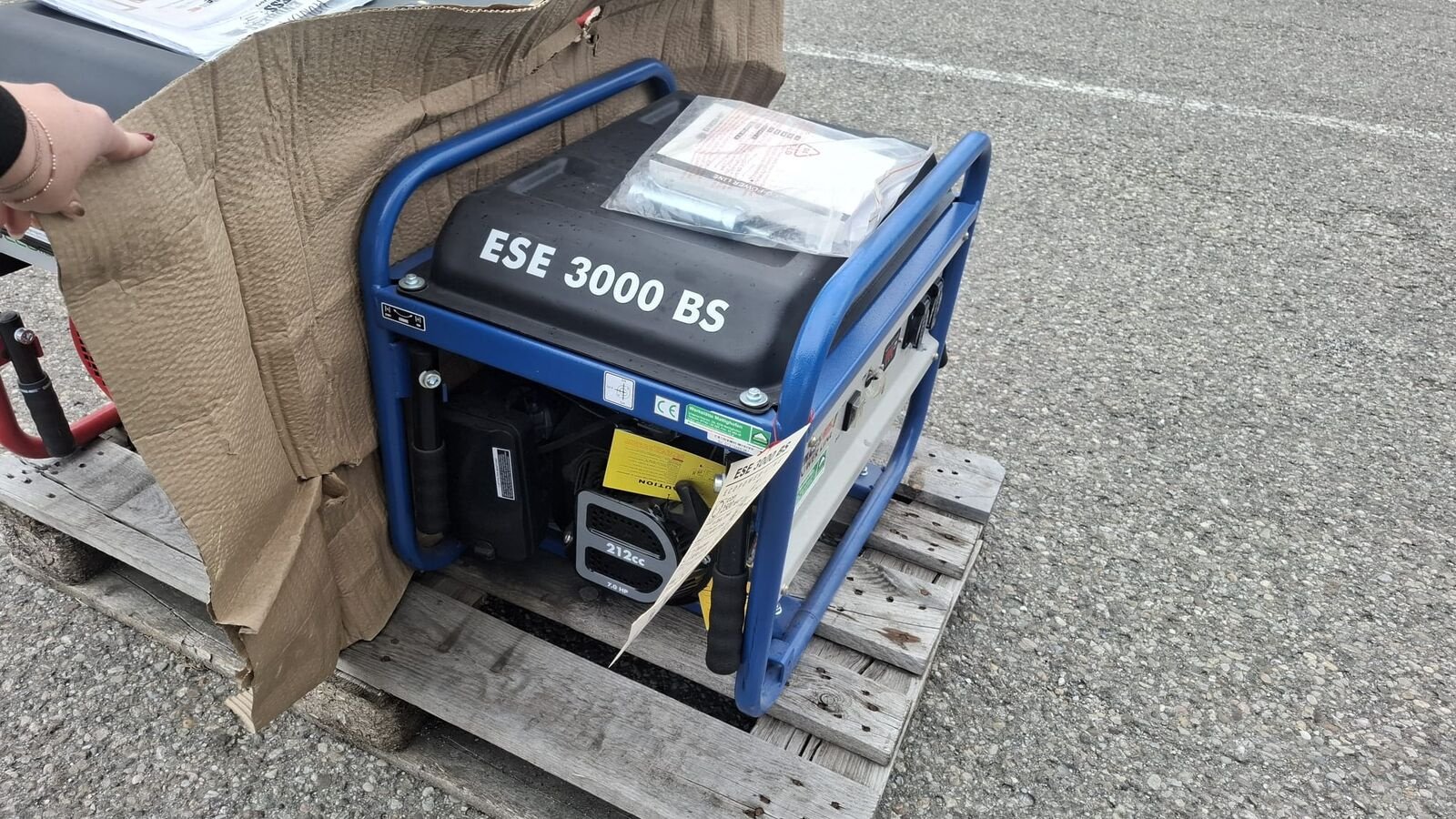 Sonstige Teile tip Sonstige Stromerzeuger Endress, Neumaschine in Geinberg (Poză 2)