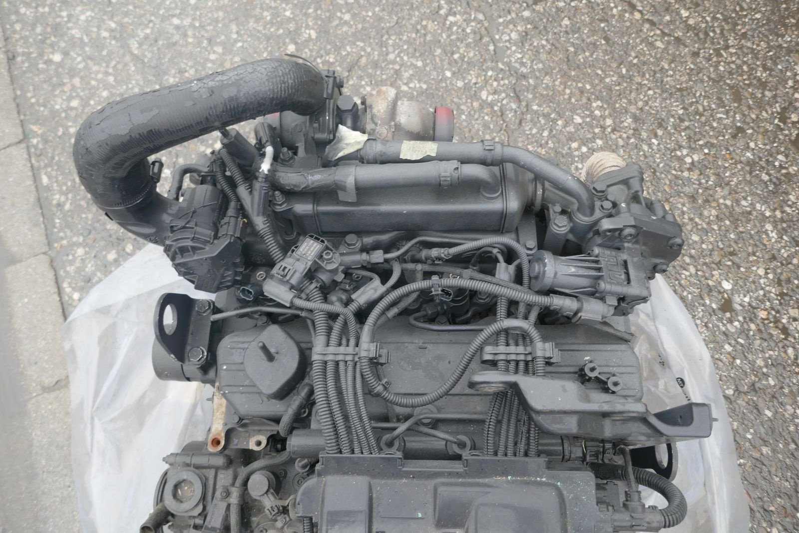 Sonstige Traktorteile a típus New Holland FTP Motor 4 Zylinder, Gebrauchtmaschine ekkor: Villach (Kép 7)