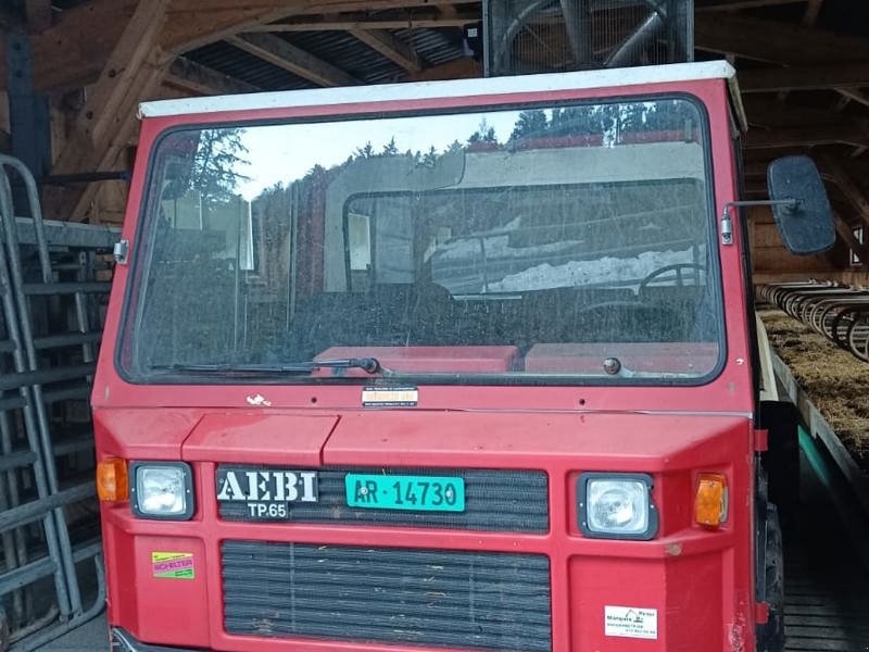 Sonstige Transporttechnik typu Aebi TP 65, Gebrauchtmaschine w Landquart (Zdjęcie 1)