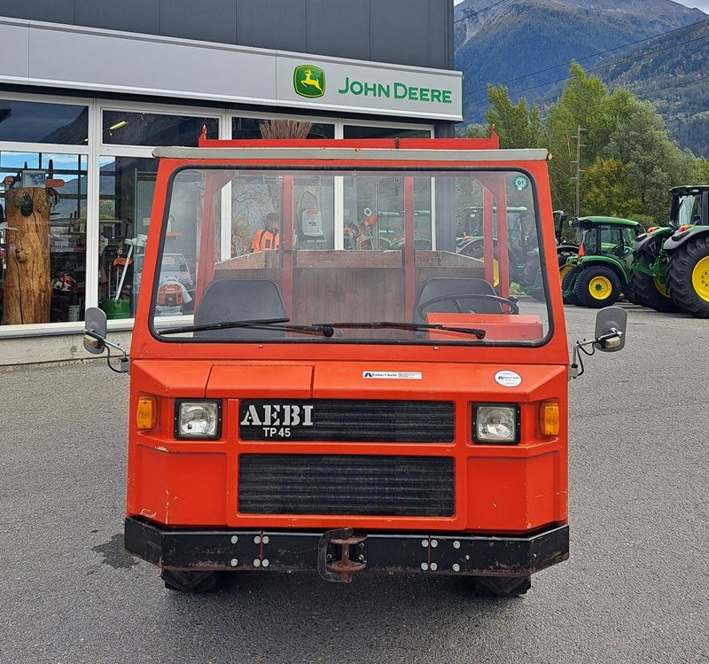 Sonstige Transporttechnik des Typs Aebi TP45 / TP 45, Gebrauchtmaschine in Susten (Bild 2)