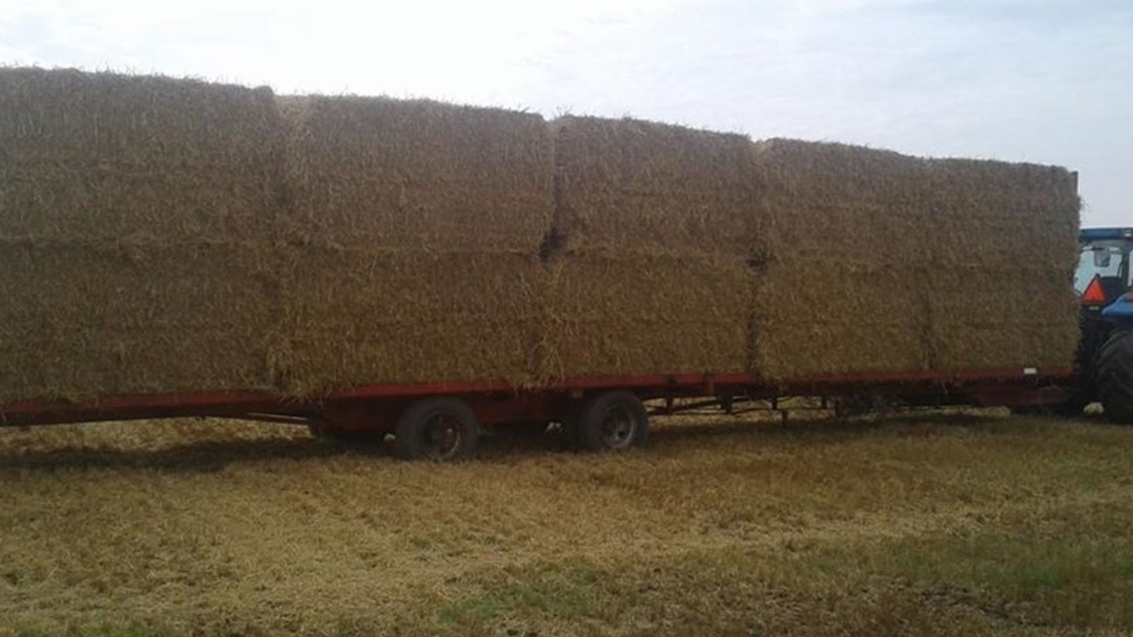 Sonstige Transporttechnik typu AP Bigballevogn 12.5 mtr. Bigballevogn 12,5 mtr, Gebrauchtmaschine v Skive (Obrázek 5)