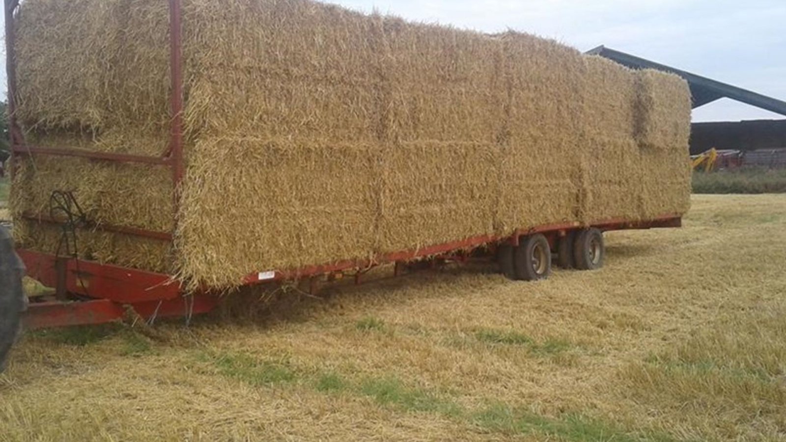 Sonstige Transporttechnik typu AP Bigballevogn 12.5 mtr. Bigballevogn 12,5 mtr, Gebrauchtmaschine v Skive (Obrázek 6)
