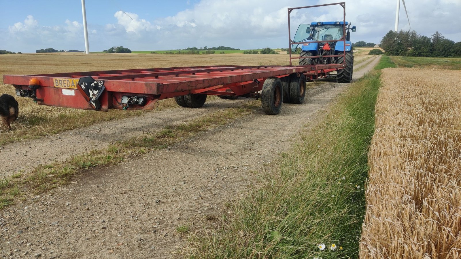 Sonstige Transporttechnik typu AP Bigballevogn 12.5 mtr. Bigballevogn 12,5 mtr, Gebrauchtmaschine v Skive (Obrázek 3)