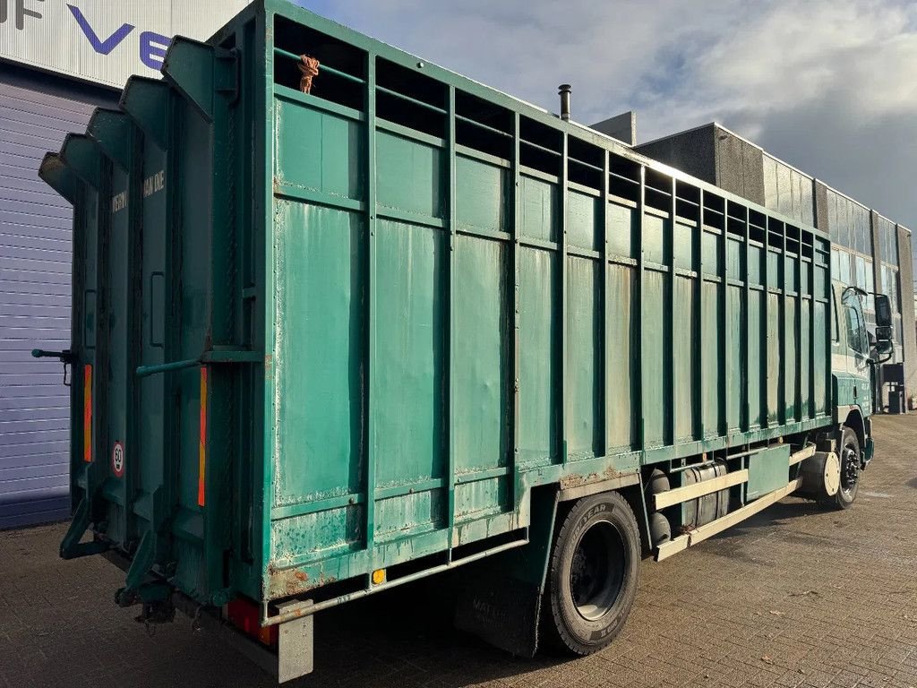 Sonstige Transporttechnik от тип DAF 65.210 **BELGIAN TRUCK-FULL STEEL**, Gebrauchtmaschine в Kessel (Снимка 8)