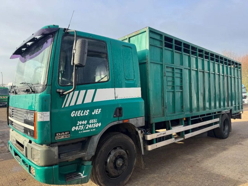 Sonstige Transporttechnik от тип DAF 65.210 **BELGIAN TRUCK-FULL STEEL**, Gebrauchtmaschine в Kessel (Снимка 1)