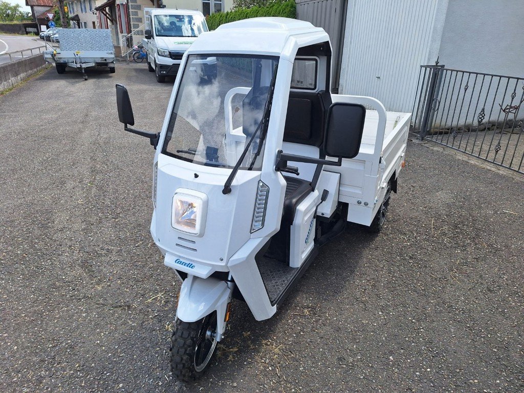 Sonstige Transporttechnik des Typs Sonstige Carello LDR Exklusiv, Gebrauchtmaschine in Balterswil (Bild 2)