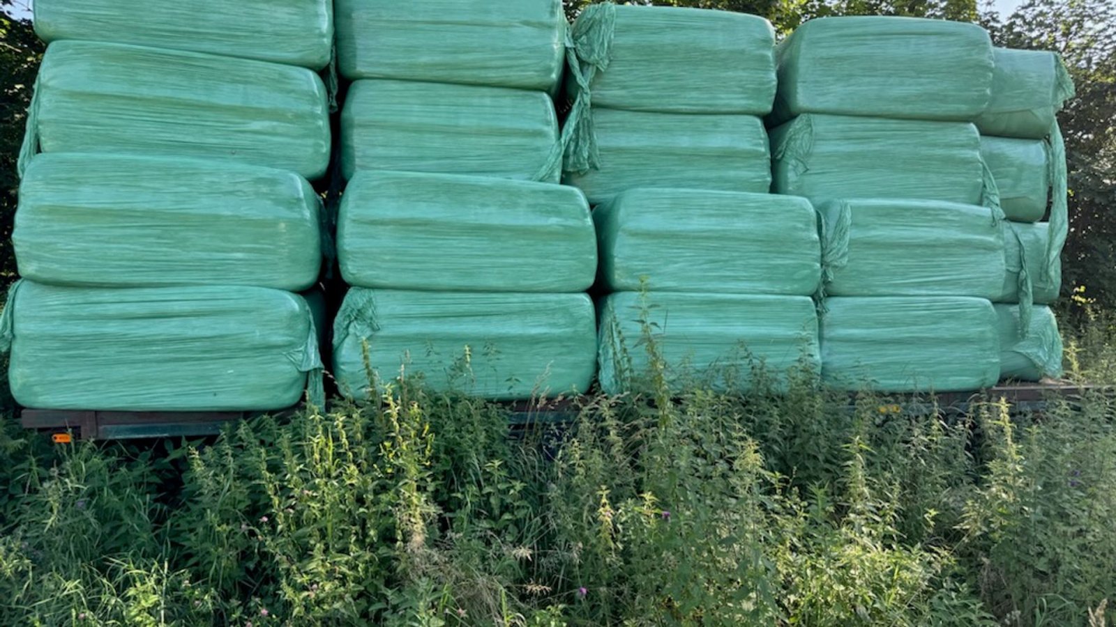 Sonstige Transporttechnik of the type Sonstige Sonstiges, Gebrauchtmaschine in Horslunde (Picture 6)