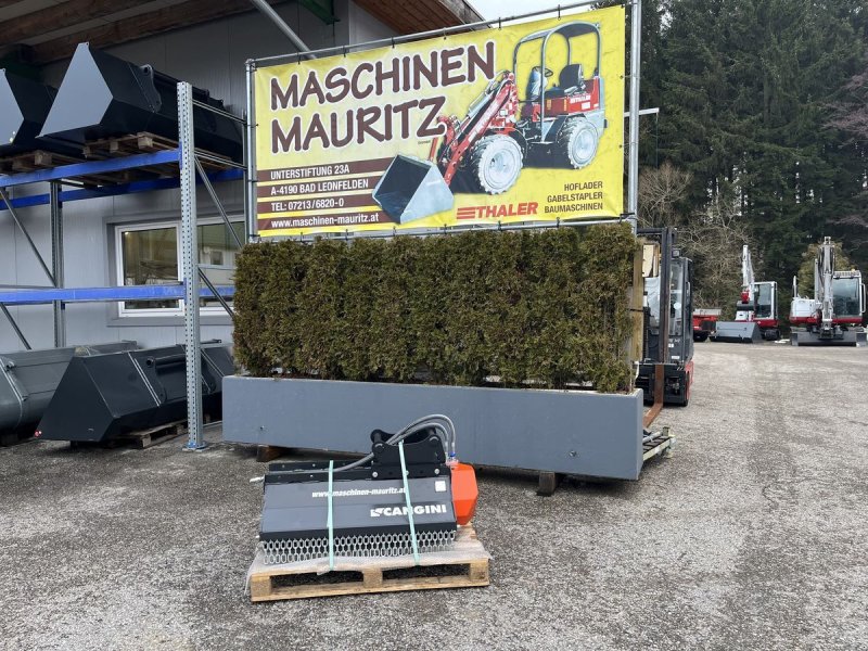 Sonstiger Baggerzubehör des Typs Cangini TC1-100 Mulcher, Neumaschine in Bad Leonfelden (Bild 1)