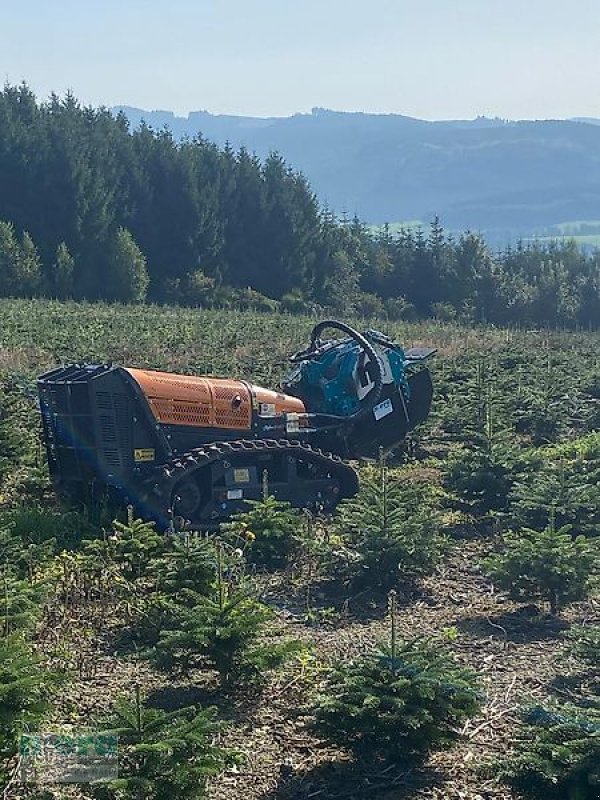 Sonstiger Baggerzubehör a típus mera Reihen-/Streifenfräse RF025/035/055-HYD, Neumaschine ekkor: Stelle-Ashausen (Kép 7)