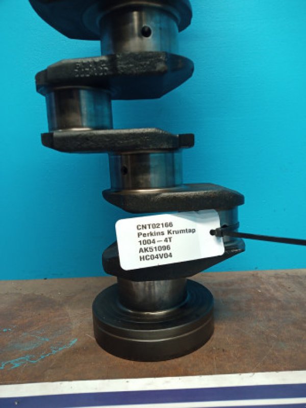 Sonstiges Baggerzubehör des Typs Perkins 1004-4T, Gebrauchtmaschine in Hemmet (Bild 4)