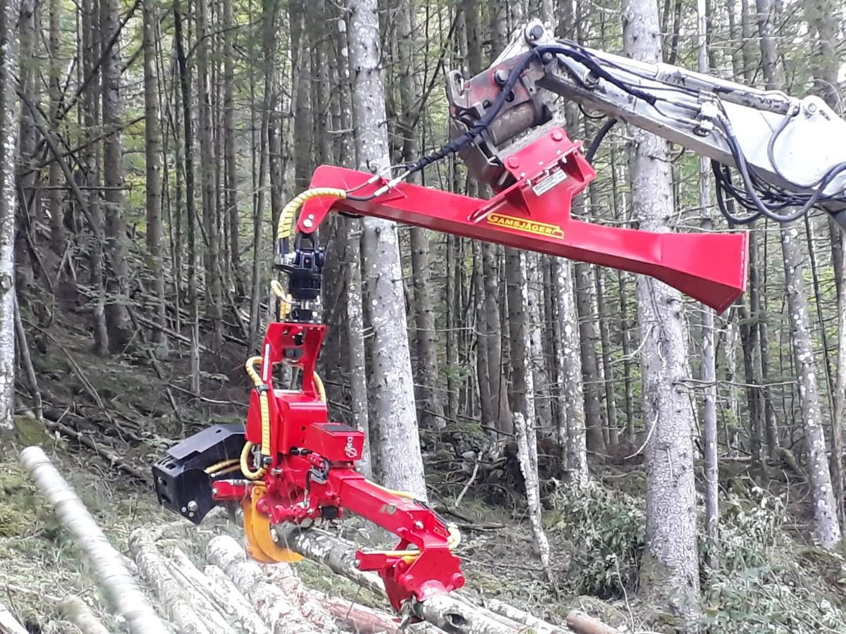Sonstiges Baggerzubehör des Typs Sonstige Auslegerschreitfuß, Neumaschine in Gosau am Dachstein (Bild 4)