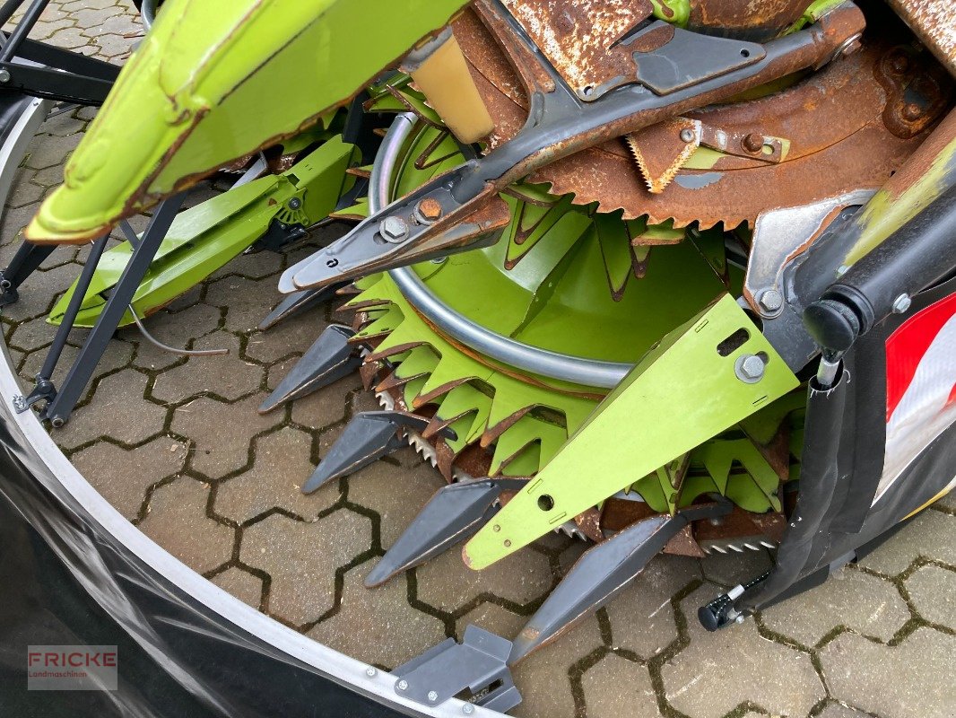 Sonstiges Feldhäckslerzubehör tipa CLAAS Orbis 900, Gebrauchtmaschine u Bockel - Gyhum (Slika 8)
