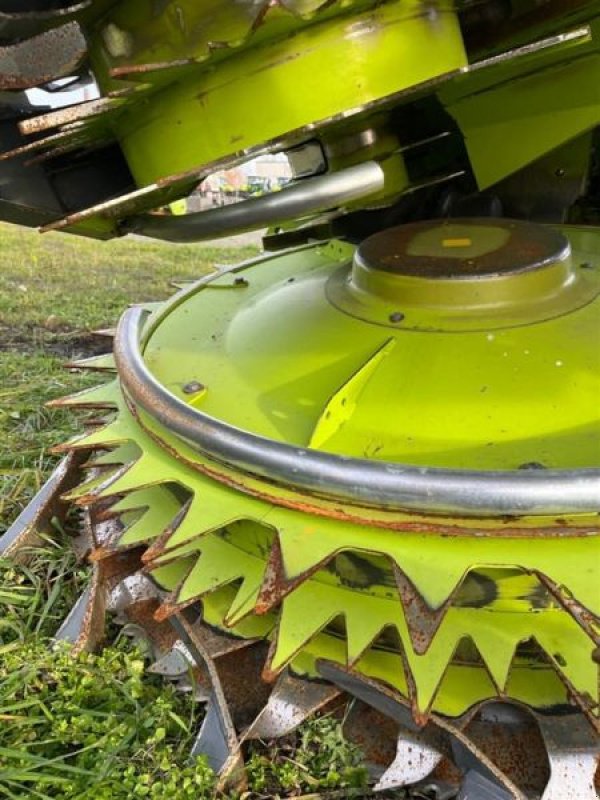 Sonstiges Feldhäckslerzubehör des Typs CLAAS VORS. MAISGEBISS ORBIS 750, Vorführmaschine in Mockrehna (Bild 9)