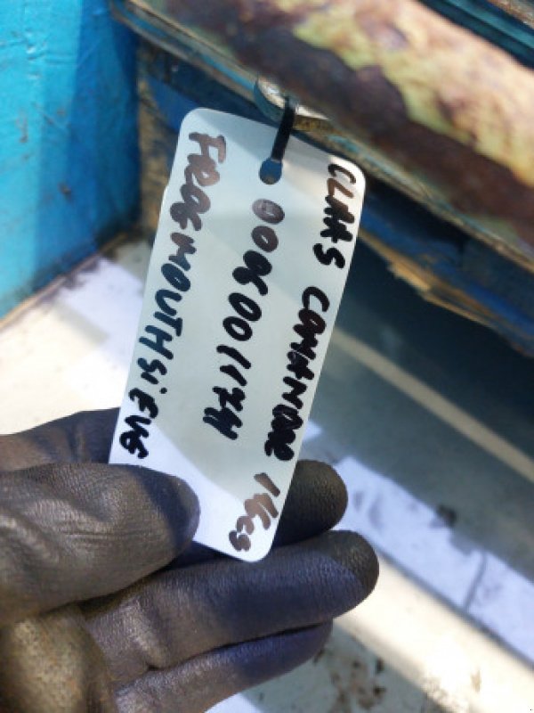 Sonstiges Mähdrescherzubehör typu CLAAS Commandor 116 CS, Gebrauchtmaschine v Hemmet (Obrázek 16)