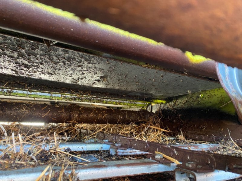 Sonstiges Mähdrescherzubehör des Typs CLAAS Lexion 600, Gebrauchtmaschine in Hemmet (Bild 8)