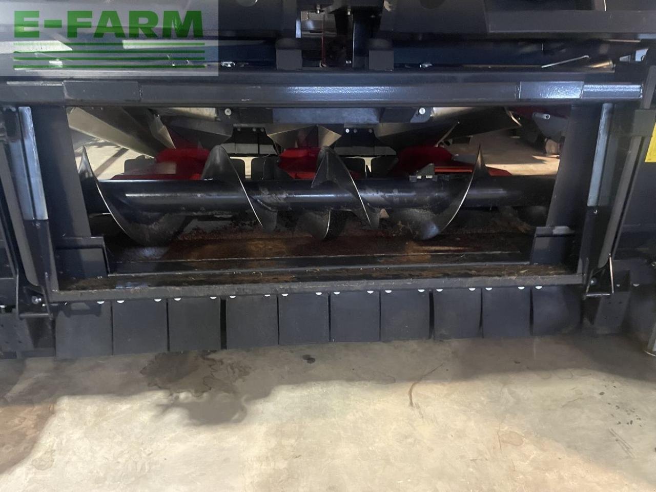 Sonstiges Mähdrescherzubehör typu Dominoni maispflücker 8 reiher, Gebrauchtmaschine v WIESELBURG (Obrázek 2)